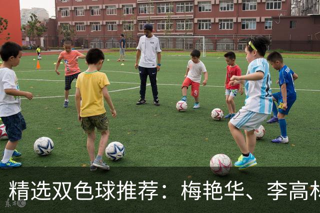 精选双色球推荐：梅艳华、李高林各擒二等319万！
